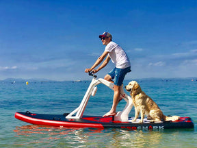 Bike Aquática Paddle Surf Lançamento