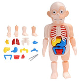 Brinquedo Kit Médico Corpo Humano